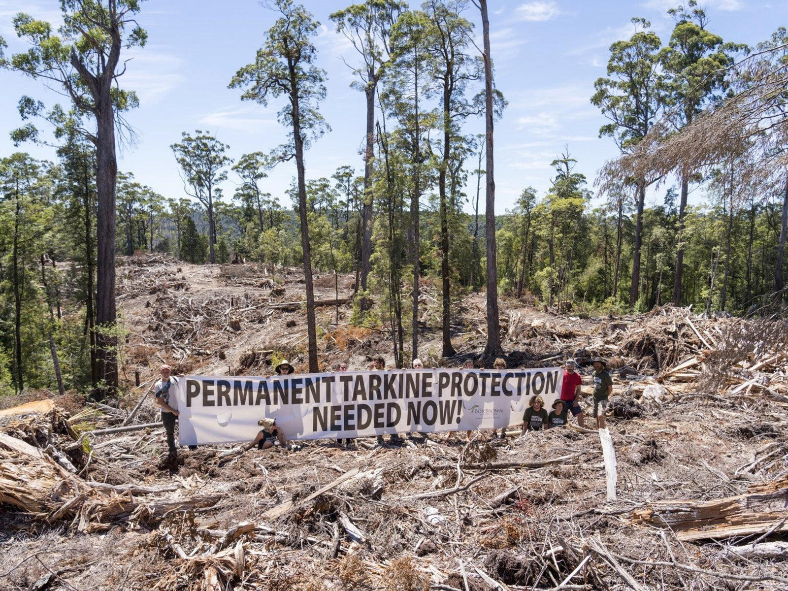 Bob Brown Foundation activist crowdfunds to pay off protest fines - TARKINE ATHLETICS