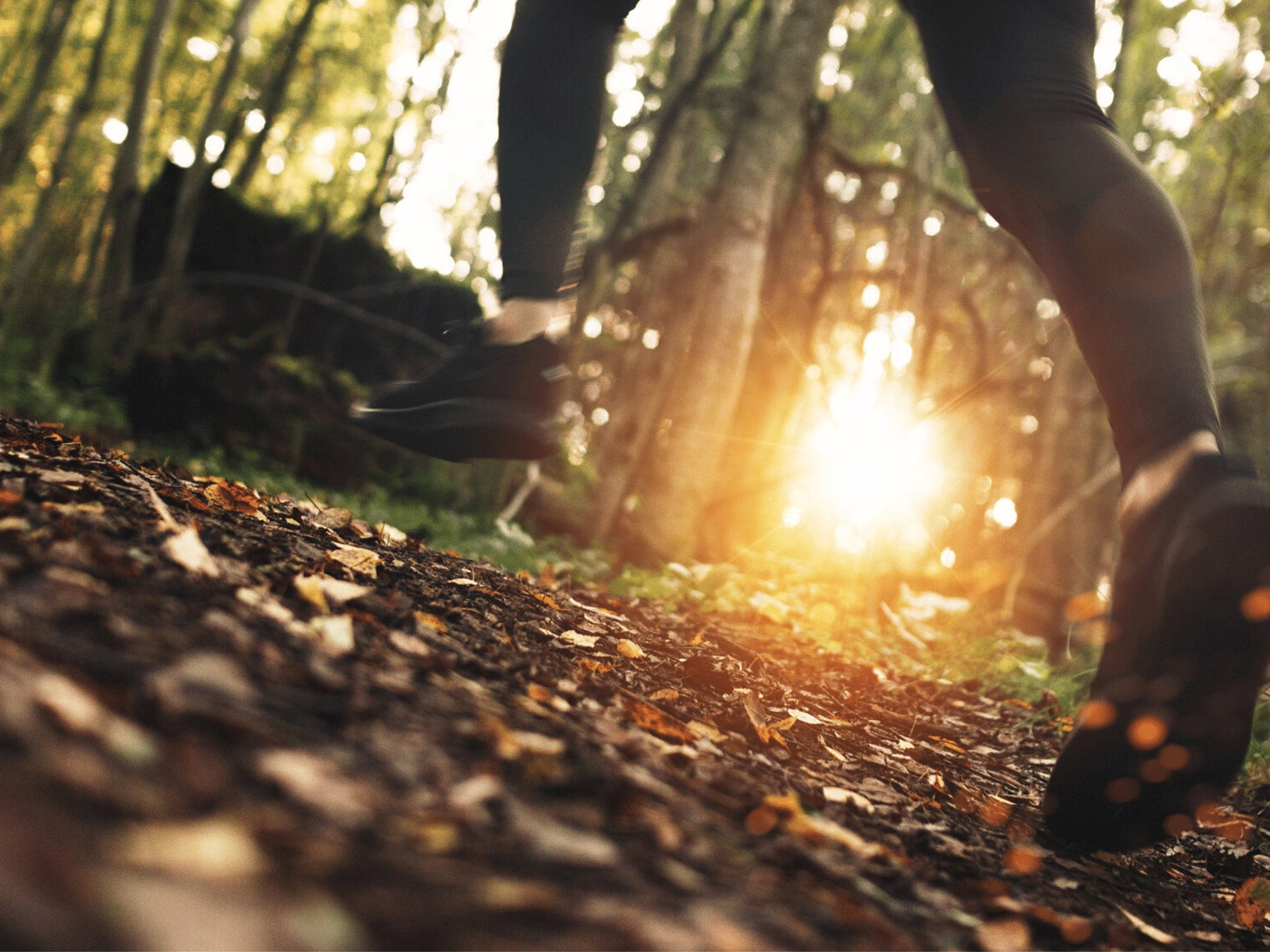 Takayna/Tarkine Ultra – Run to Save Wild Places - TARKINE ATHLETICS