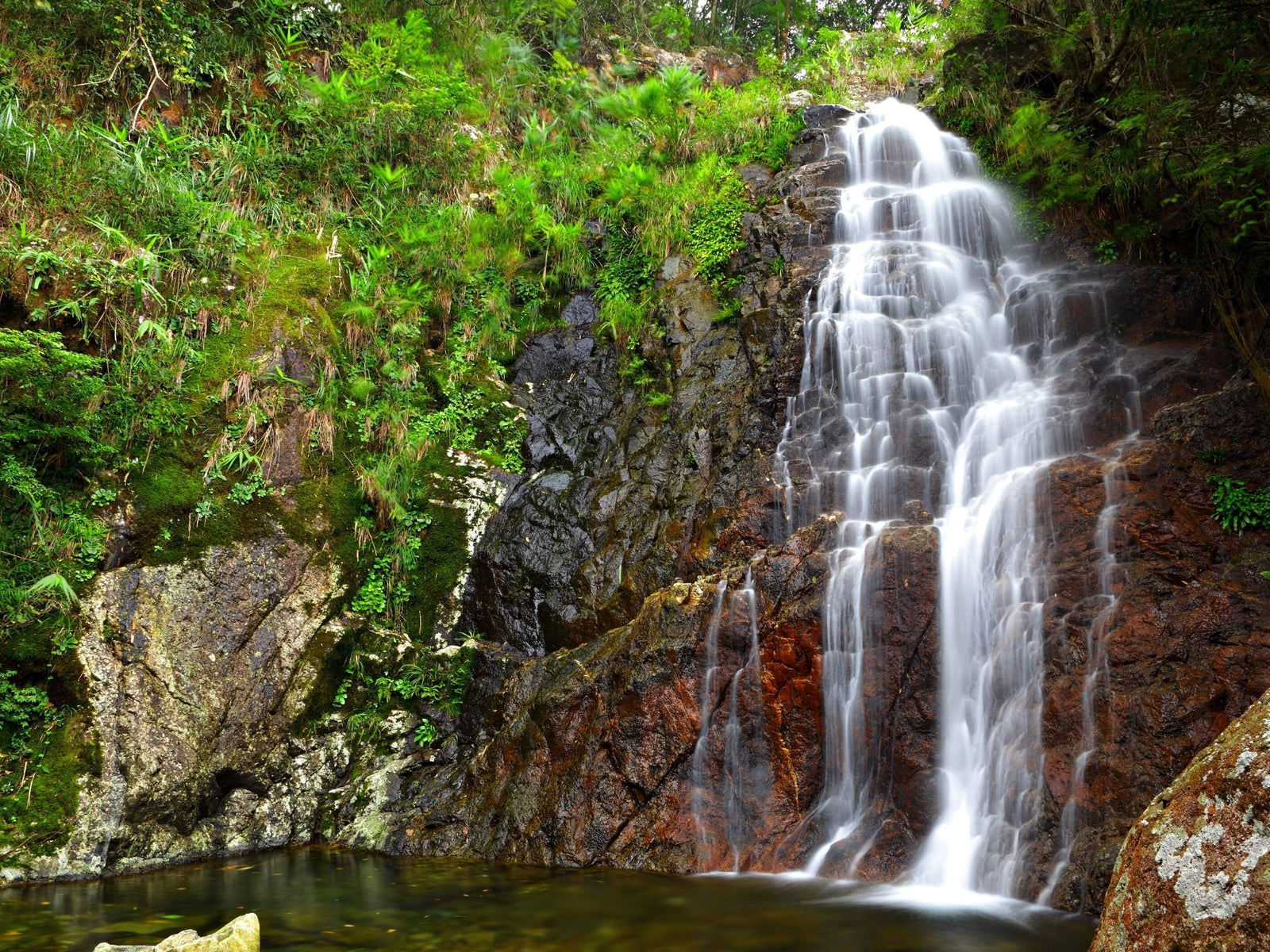 The majestic Tarkine region should be protected - Bob Brown - TARKINE ATHLETICS